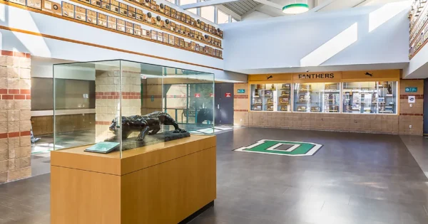 High Traffic Flooring For School